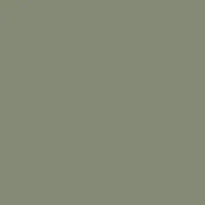 Pale Eucalypt® — Matt