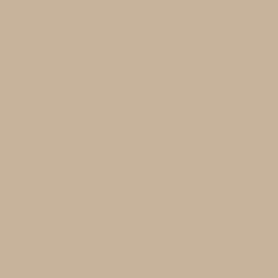 Stone Beige — Matt