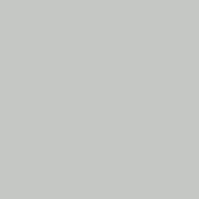 RAL 7035 Light Grey — Satin