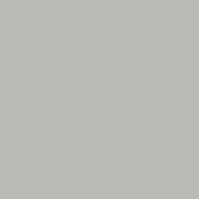Shale Grey™ — Satin