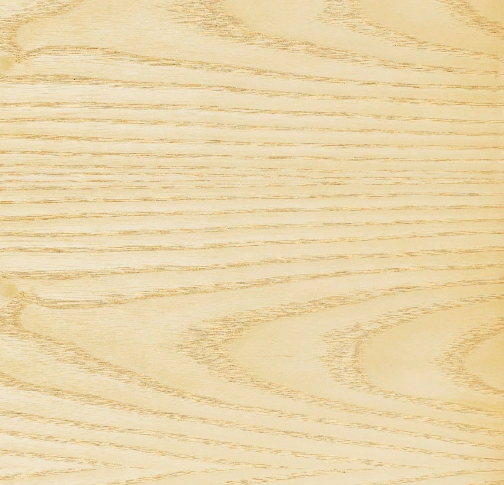 American Ash Warm