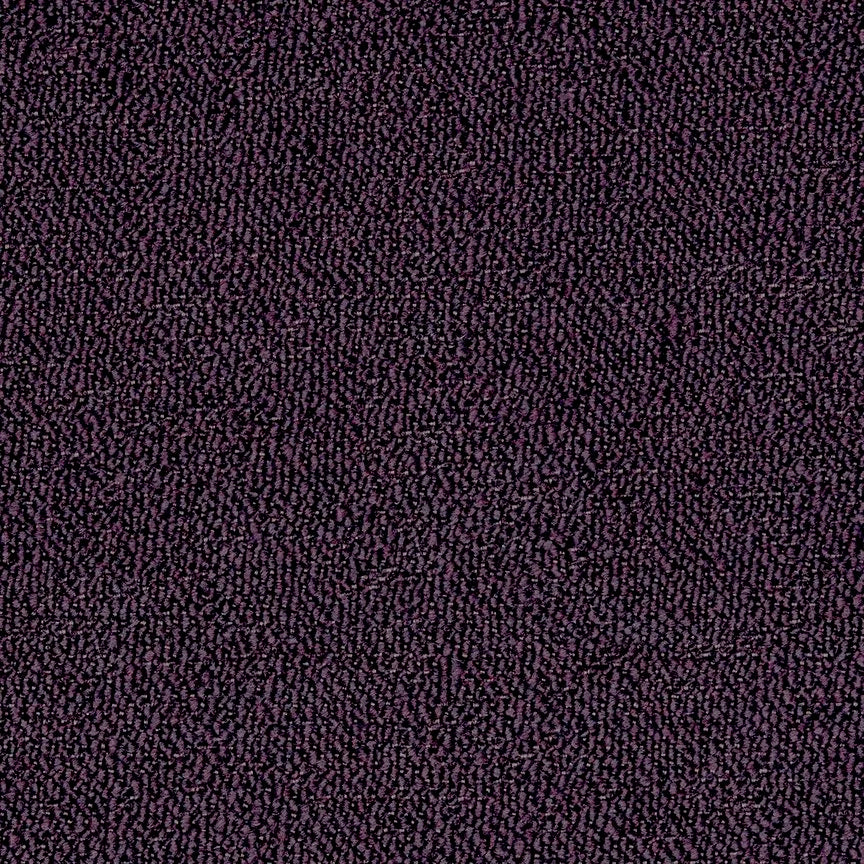 003 Regnant