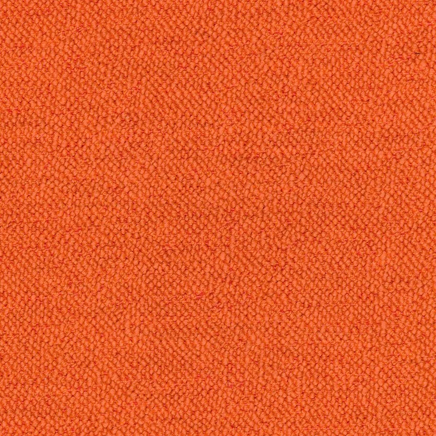 005 Goldfish